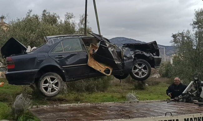 Φυλή