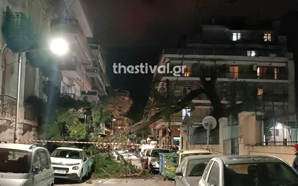 Θεσσαλονίκη: Δέντρο έπεσε και καταπλάκωσε σταθμευμένα ΙΧ