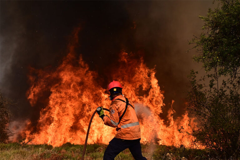 Διδυμότειχο: Φωτιά μέσα σε ναρκοπέδιο στον Έβρο (Video)