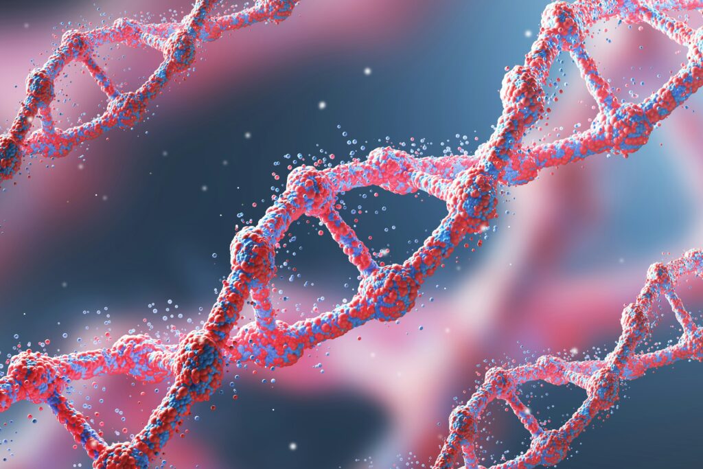 Αρχαίο DNA ρίχνει φως στην προέλευση μουμιών της Σαχάρας ηλικίας 7.000 ετών