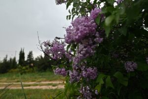 Καιρός: Άστατος τις επόμενες ημέρες &#8211; Αναλυτικά η πρόγνωση