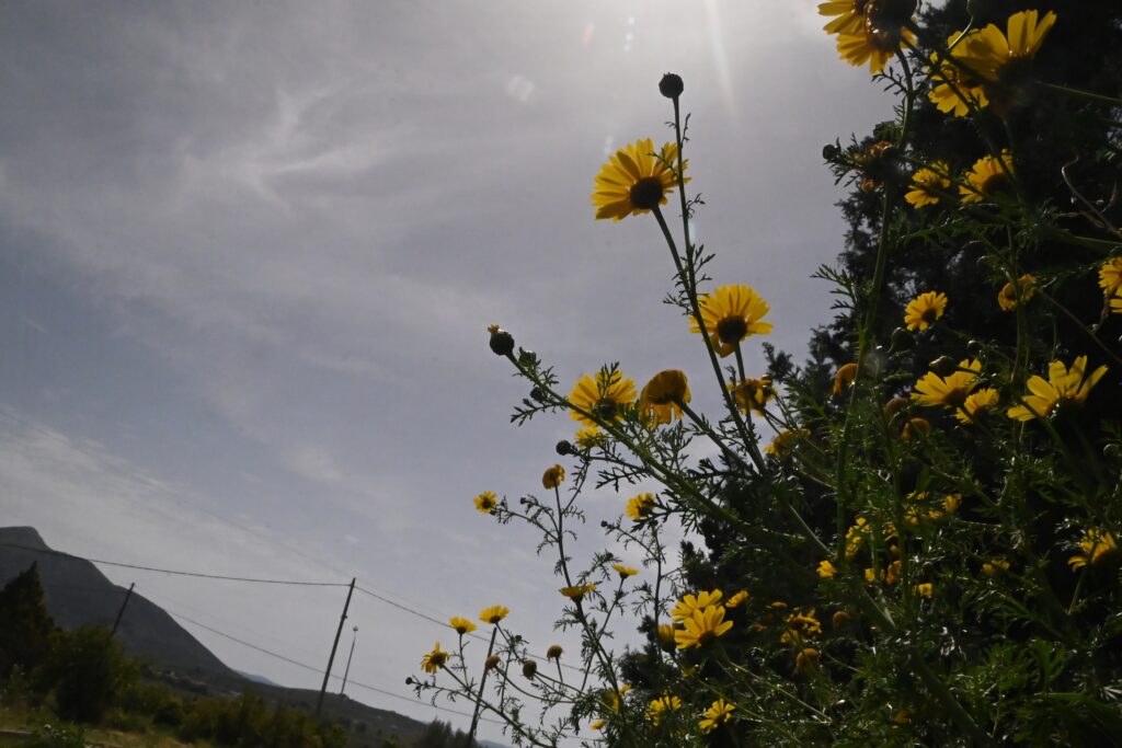 Καιρός: Αίθριος ο καιρός τις επόμενες ημέρες – Αναλυτική πρόγνωση