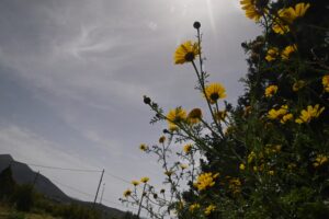 Καιρός: Αίθριος ο καιρός τις επόμενες ημέρες &#8211; Αναλυτική πρόγνωση
