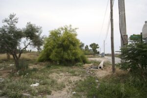 Καθαρισμός οικοπέδων: Ως τις 30 Απριλίου η προθεσμία &#8211; Τα πρόστιμα