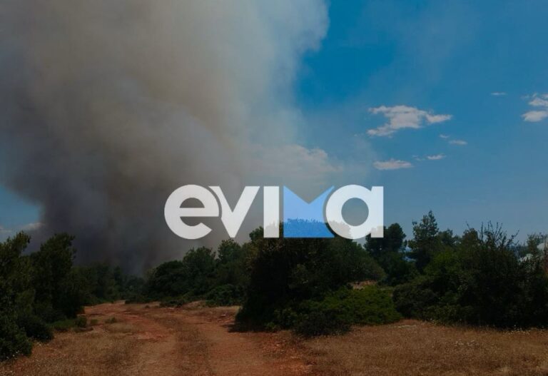 Μία σύλληψη για τη φωτιά στη Ριτσώνα