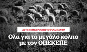 Όλα για το μεγάλο κόλπο για τον ΟΠΕΚΕΠΕ &#8211; Αυτή την Κυριακή στο Documento