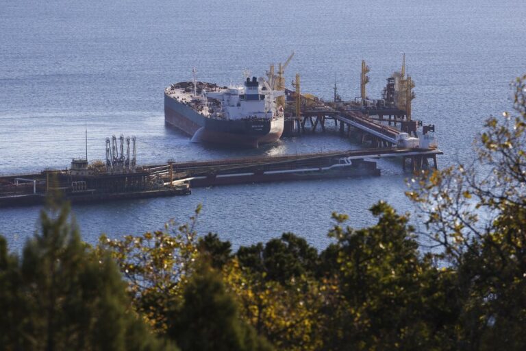 «Να σταματήσει η Ελλάδα τις πωλήσεις πλοίων στη Ρωσία» – Γερμανικά δημοσιεύματα μετά την επιστολή ευρωβουλευτών σε Μητσοτάκη