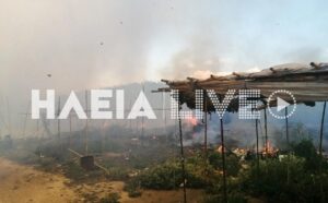 Συναγερμός για φωτιά στη Νέα Μανωλάδα (Photos)