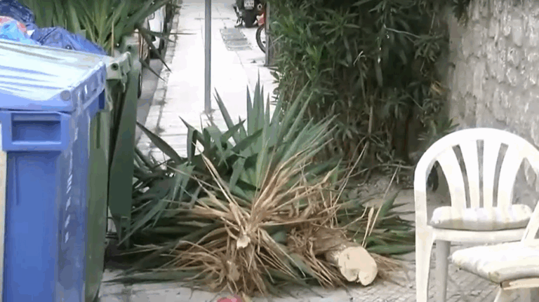 Άλιμος: Μυστήριο με το βρέφος που εντοπίστηκε δίπλα σε κάδο απορριμμάτων – Τα σενάρια που εξετάζει η Αστυνομία