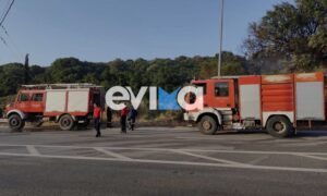 Εύβοια: Οριοθετήθηκε η φωτιά στον Αλμυροπόταμο