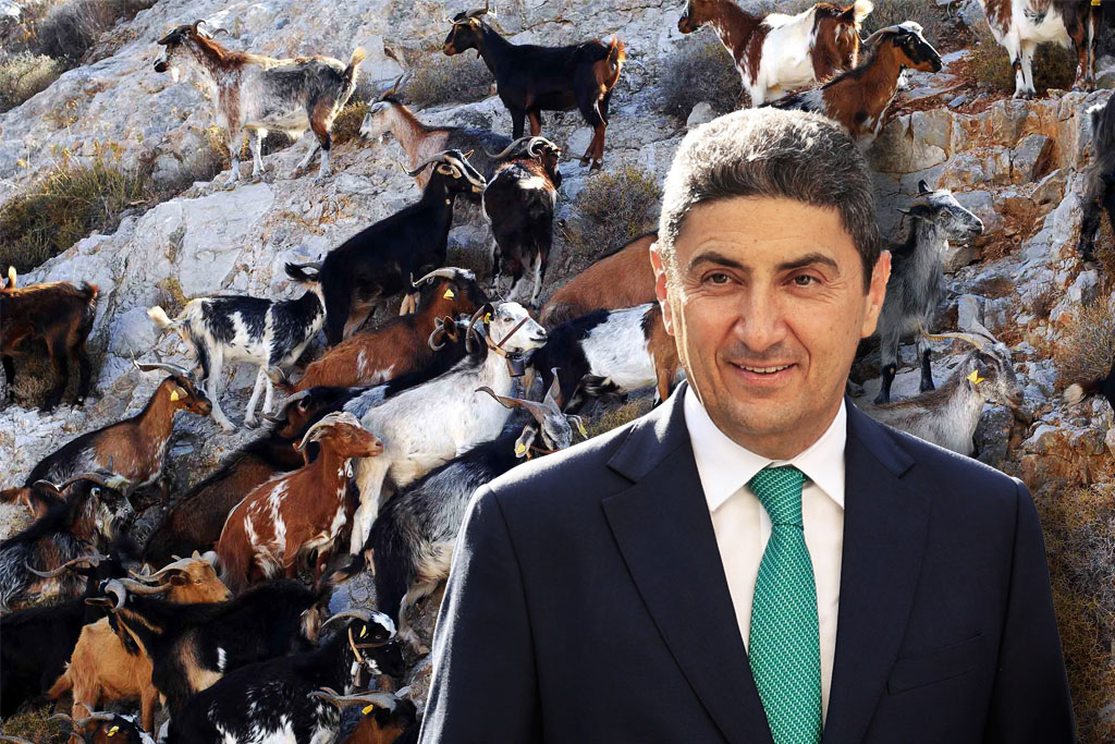 Η επιδοτούμενη ρίγανη, ο Αυγενάκης και μια γίδα στο καράβι της γραμμής