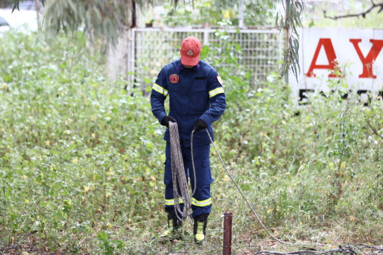 Τραγωδία στο φαράγγι της Νέδας: Νεκρό το τετράχρονο αγοράκι που έπεσε με τον πατέρα του σε χαράδρα
