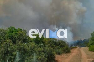 Φωτιά τώρα στη Ριτσώνα &#8211; Στη μάχη και εναέρια μέσα (Photos)