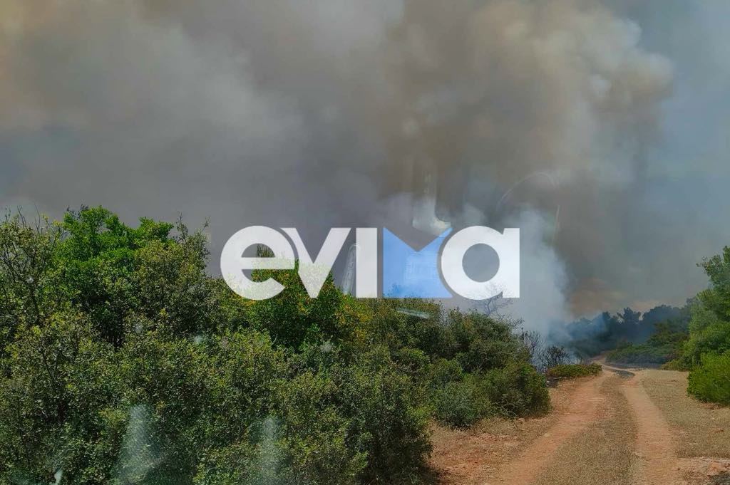 Φωτιά τώρα στη Ριτσώνα – Στη μάχη και εναέρια μέσα (Photos)
