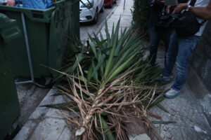 Άλιμος: Στη φυλακή η γιαγιά του βρέφους που βρέθηκε παρατημένο δίπλα σε κάδο απορριμμάτων