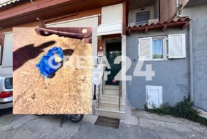 Προφυλακιστέα η 33χρονη που πέταξε το βρέφος στα σκουπίδια &#8211; «Δεν ήξερα τι έκανα, συγγνώμη»