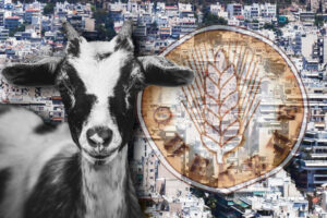 Βροχή οι καταγγελίες για τον ΟΠΕΚΕΠΕ: «Το σύστημα έβγαζε το κοπάδι μου σε Χαλάνδρι και Γαύδο» (Video)