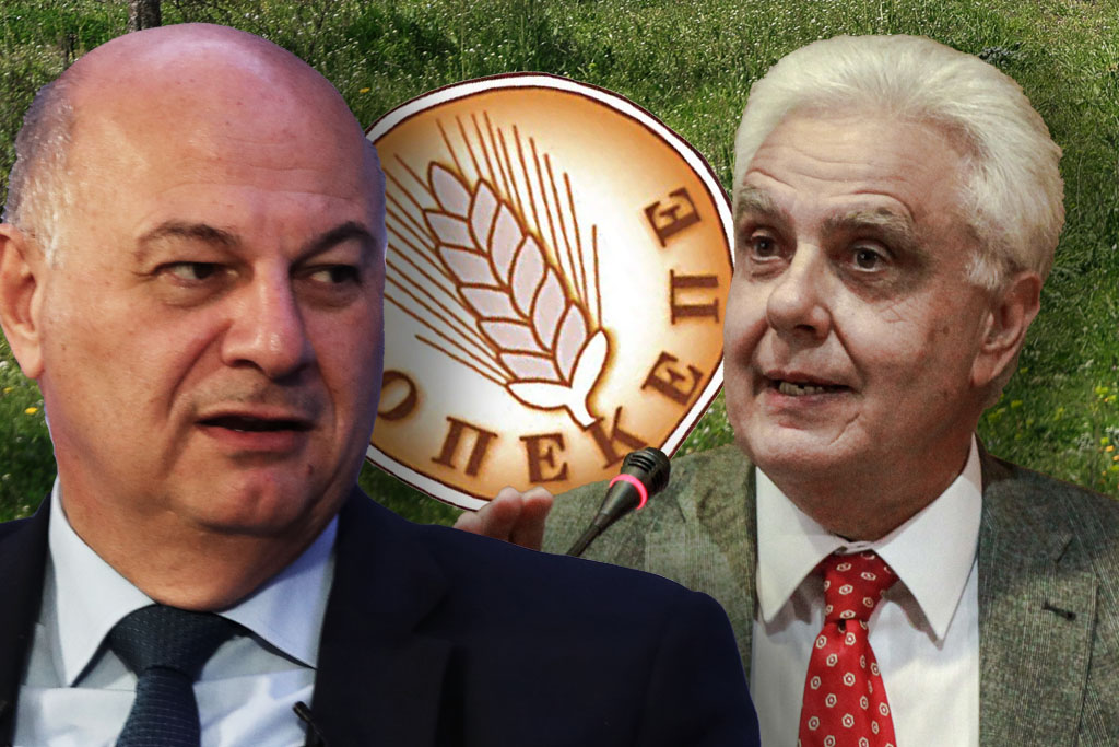 ΟΠΕΚΕΠΕ: Κινδυνολογία Σαλάτα για τις επιδοτήσεις και αιχμές προς… «αγνώστους»
