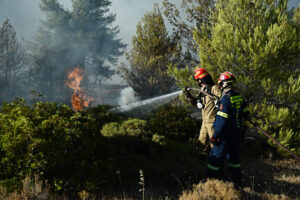 Διέταξαν ΕΔΕ γιατί «ανέδειξαν τα προβλήματα στο Σώμα» &#8211; Καταγγελία εποχικών πυροσβεστών