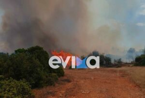 Μεγάλη φωτιά τώρα στη Ριτσώνα &#8211; Εικόνες από το σημείο