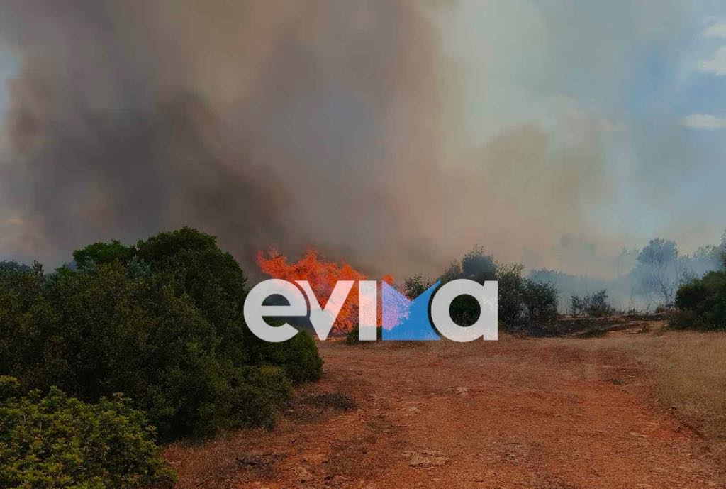 Μεγάλη φωτιά τώρα στη Ριτσώνα – Εικόνες από το σημείο