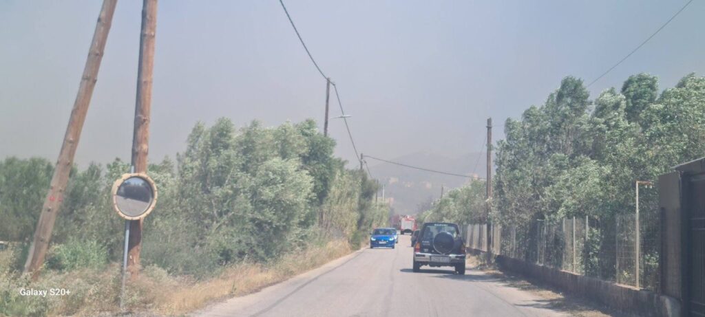 Φωτιά στην Ανάβυσσο: Ενισχύθηκαν οι δυνάμεις – Κοντά σε σπίτια οι φλόγες, «112» για εκκένωση (Photos-Video)