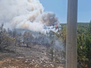 Φωτιά στον Μαραθώνα: Νέο μήνυμα 112 για εκκενώσεις &#8211; «Απομακρυνθείτε προς Γραμματικό, Νέα Μάκρη»