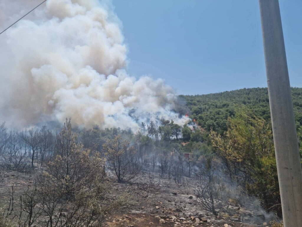 Ανεξέλεγκτη η μεγάλη φωτιά στον Μαραθώνα – «Απομακρυνθείτε προς Γραμματικό, Νέα Μάκρη» (Photos-Video)