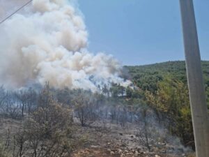 Ανεξέλεγκτη η μεγάλη φωτιά στον Μαραθώνα &#8211; «Απομακρυνθείτε προς Γραμματικό, Νέα Μάκρη» (Photos-Video)