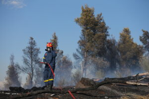 Φωτιές: Υπό μερικό έλεγχο στην Ευκαρπία, κατασβέστηκε στη Θέρμη
