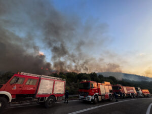 Ναύπακτος: Σε ύφεση η μεγάλη πυρκαγιά στoν Πλατανίτη