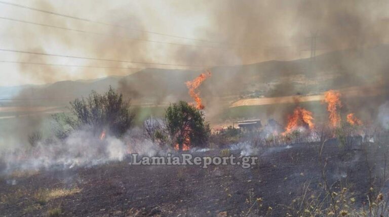 Φωτιά τώρα στον Δομοκό