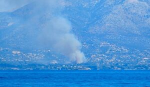 Φωτιά στην Ερέτρια: Καίει κοντά σε σπίτια &#8211; Ήχησε το 112