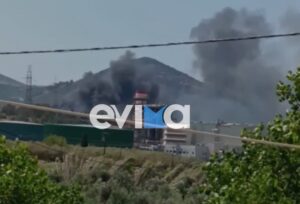 Φωτιά τώρα στην Εύβοια &#8211; Κοντά σε εργοστάσια οι φλόγες