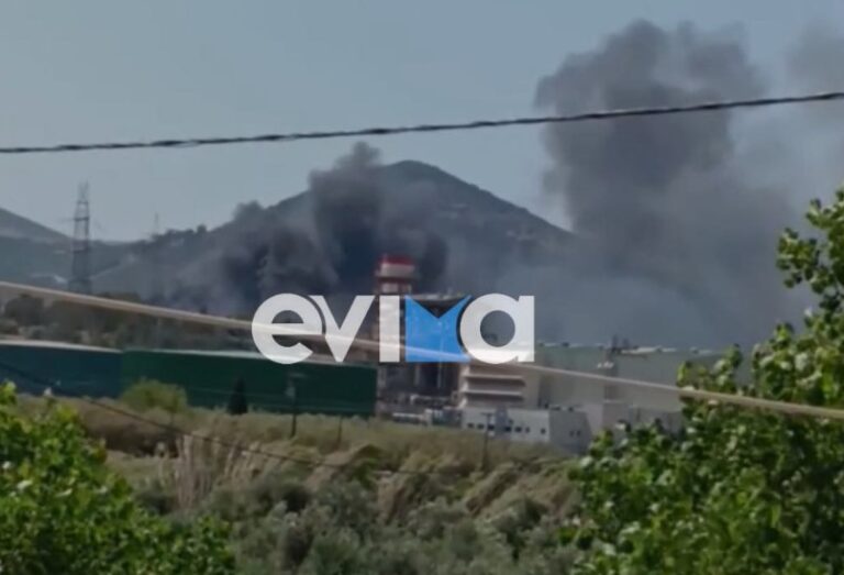 Φωτιά τώρα στην Εύβοια – Κοντά σε εργοστάσια οι φλόγες