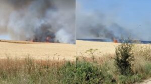 Φωτιά τώρα στο Διδυμότειχο &#8211; Σε αγροτική περιοχή