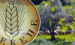 Κουπεπέ, κουπεπέ, θα σου δώσω χρήμα από τον ΟΠΕΚΕΠΕ