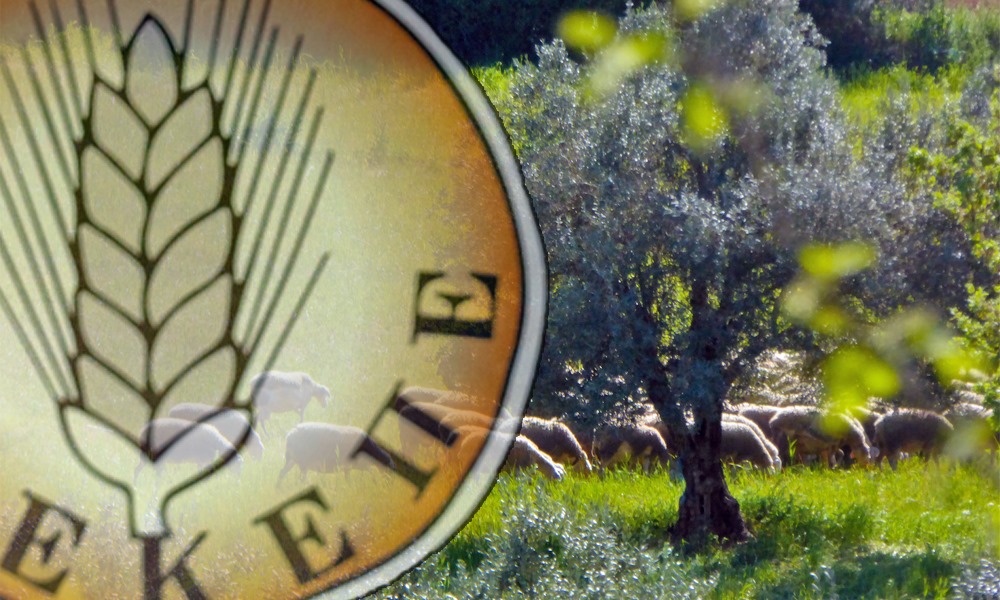 Κουπεπέ, κουπεπέ, θα σου δώσω χρήμα από τον ΟΠΕΚΕΠΕ