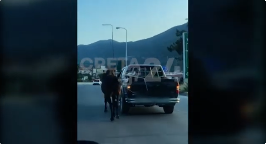 Αδιανόητο περιστατικό στο Ηράκλειο: Οδηγός έδεσε άλογο με σχοινί και το έσερνε με αγροτικό (Video)