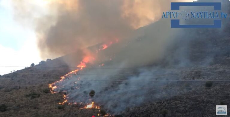 Φωτιά τώρα στην Αργολίδα