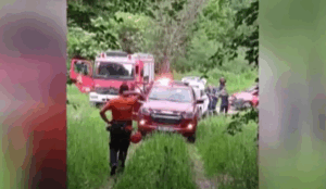 Δράμα: Χωρίς τις αισθήσεις του ο δεύτερος ορειβάτης που του επιτέθηκε αρκούδα