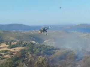 Εύβοια: Φωτιά σε δασική έκταση στην Κάρυστο &#8211; Μήνυμα 112, εκκένωση ξενοδοχείου