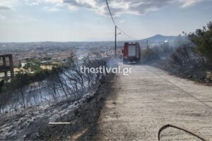 Φωτιά στην Ευκαρπία &#8211; Ήχησε το 112