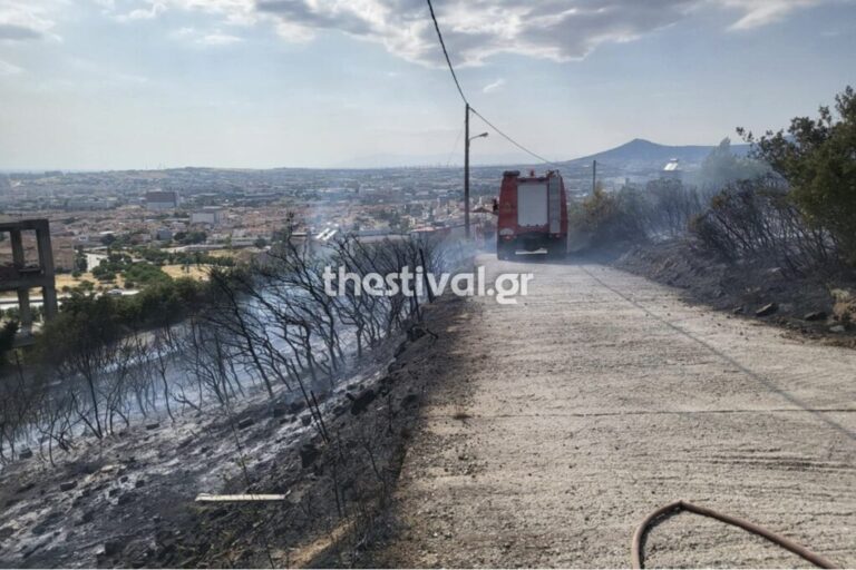 Φωτιά στην Ευκαρπία – Ήχησε το 112