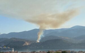Φωτιά τώρα στην Κεφαλονιά &#8211; Μήνυμα από το 112