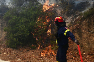 Φωτιά τώρα στο Ηράκλειο &#8211; Καίει δασική έκταση στον Τσίγκουνα