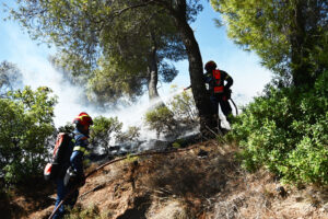 Φωτιά τώρα στα Άβδηρα Ξάνθης