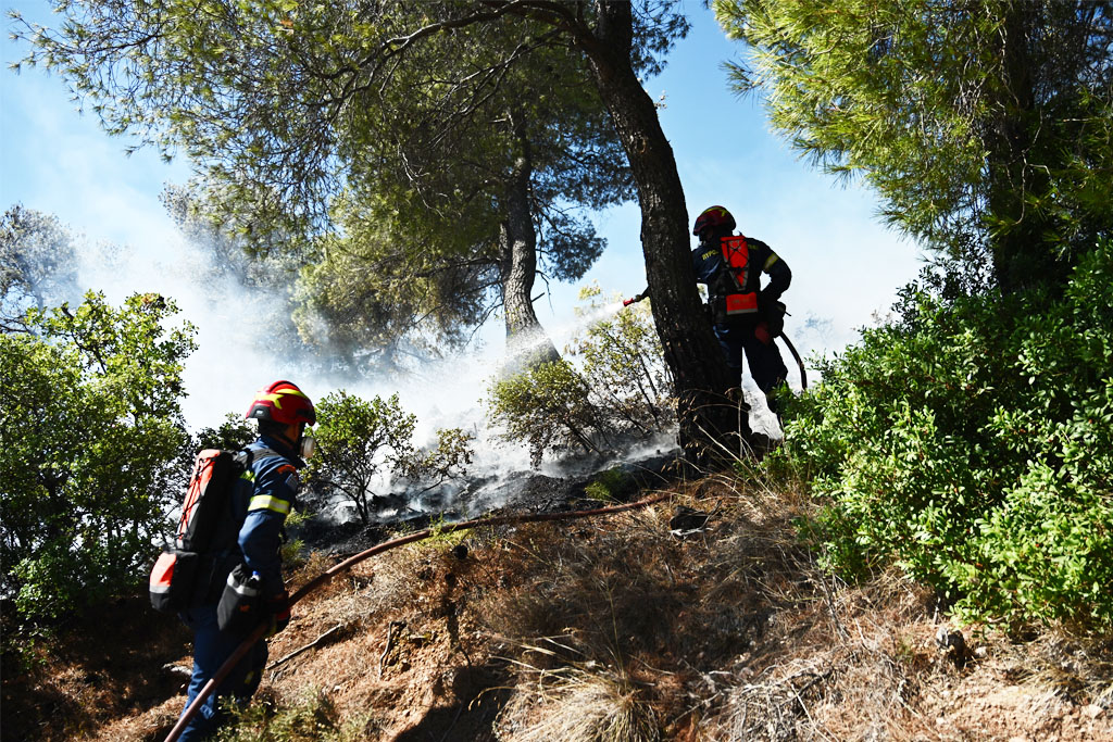 Φωτιά τώρα στα Άβδηρα Ξάνθης
