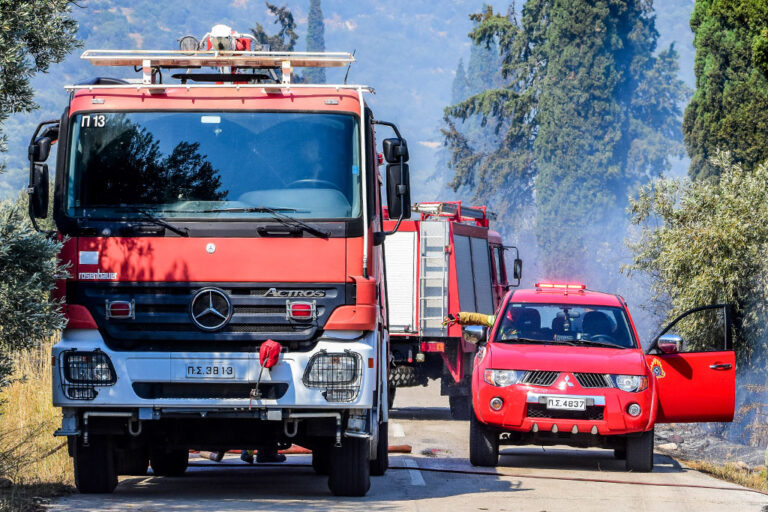 Φωτιά τώρα στη Φωκίδα – Καίει δασική έκταση στα Πεντεόρια