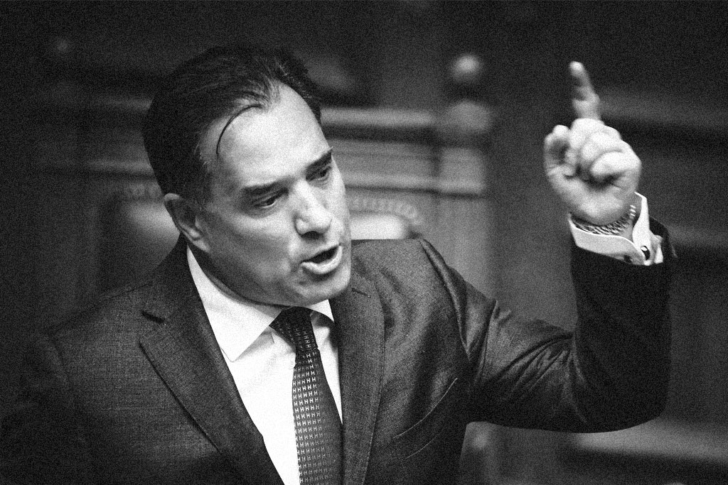 Άδωνης: Και πισίνες θα σας φτιάξουμε! (Video)